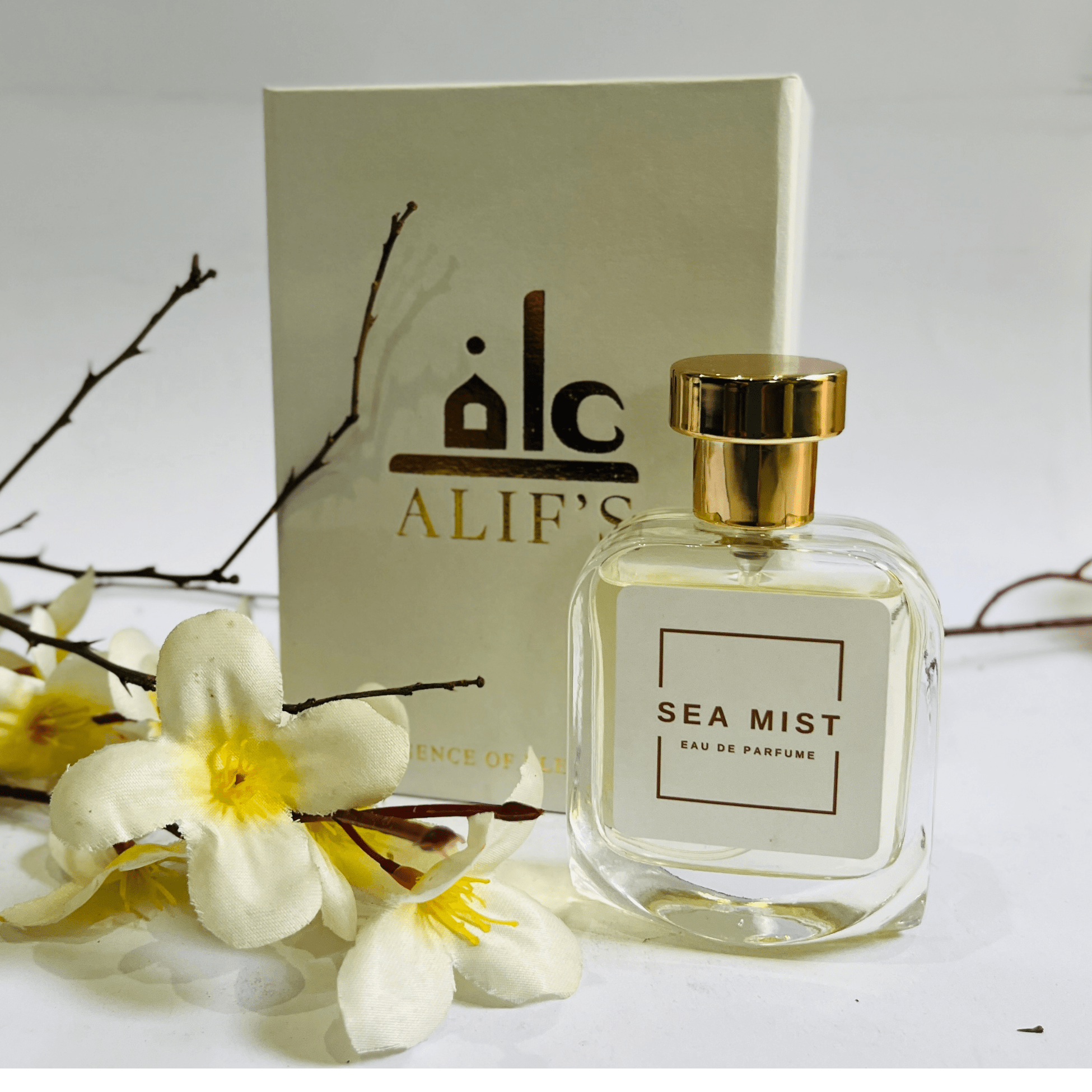 Sea Mist aquatic men’s perfume bottle by Alif’s Perfume